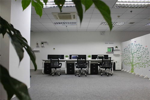 網(wǎng)頁(yè)設(shè)計(jì)新篇章 百創(chuàng)互聯(lián)如何以?xún)?yōu)質(zhì)服務(wù)引領(lǐng)網(wǎng)絡(luò)咨詢(xún)新趨勢(shì)